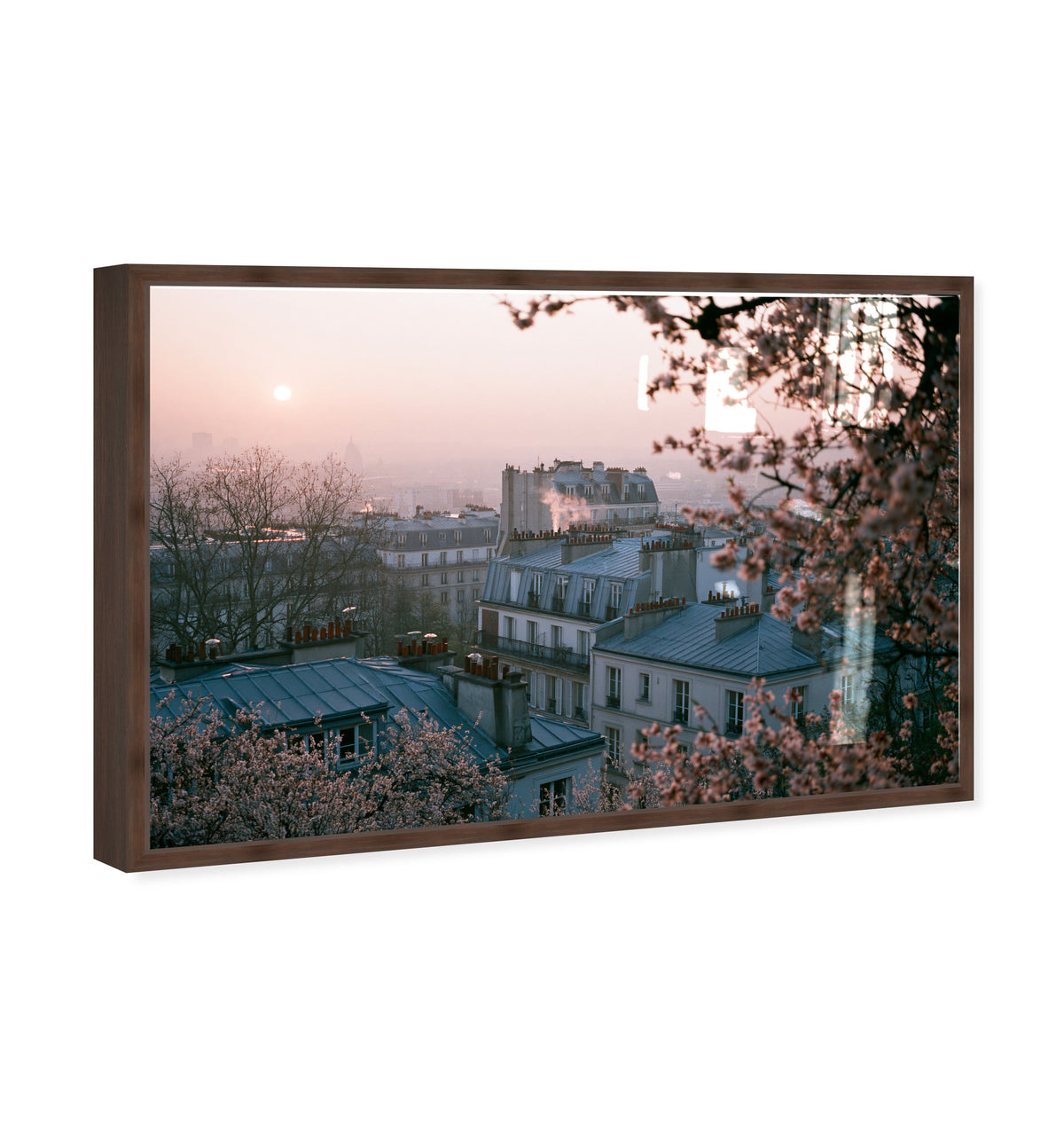 Blossom Framed Paris III