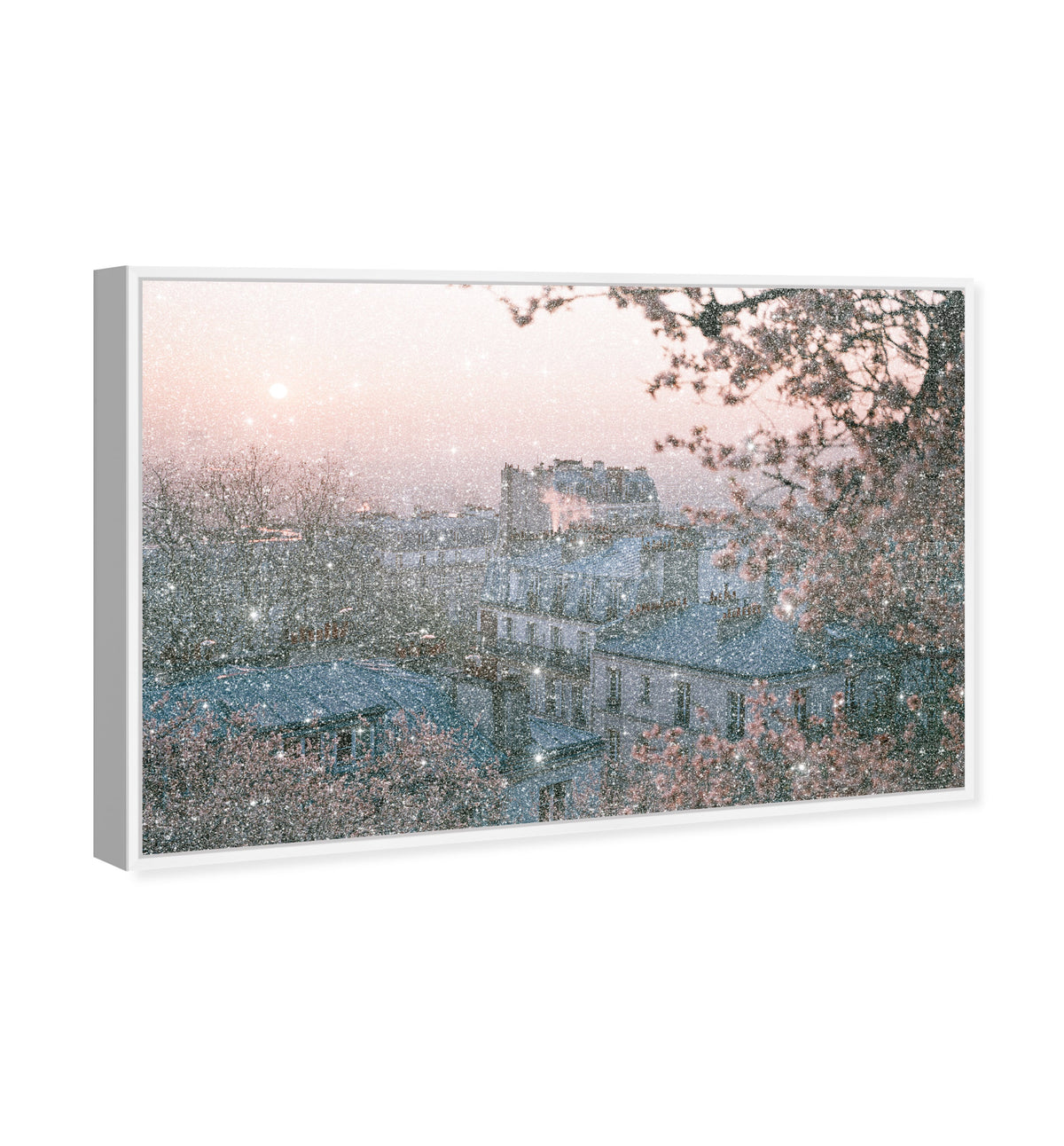 Blossom Framed Paris III