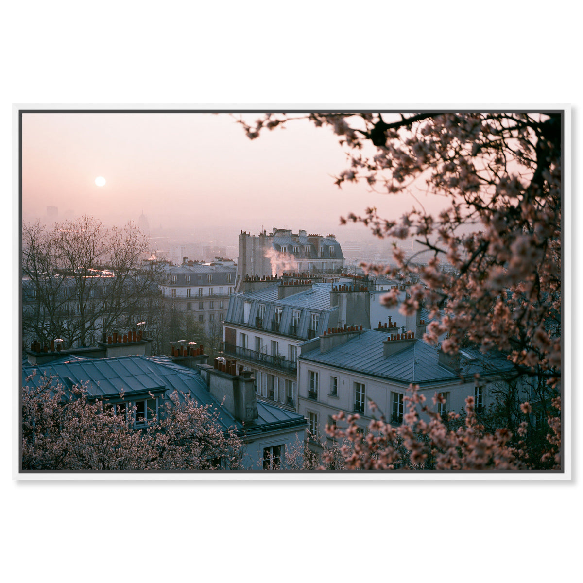 Blossom Framed Paris III