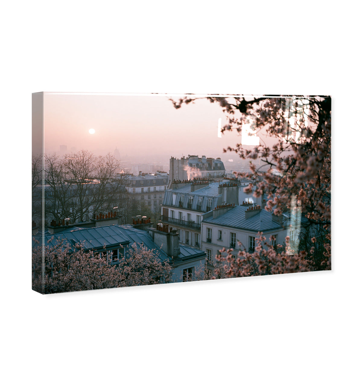 Blossom Framed Paris III