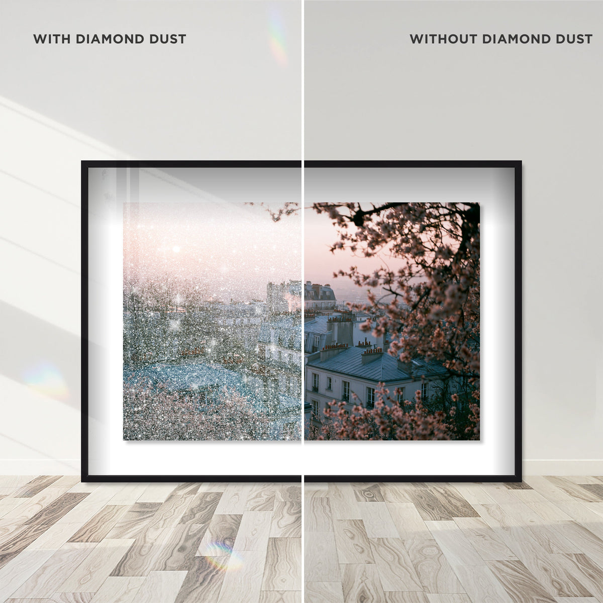 Blossom Framed Paris III