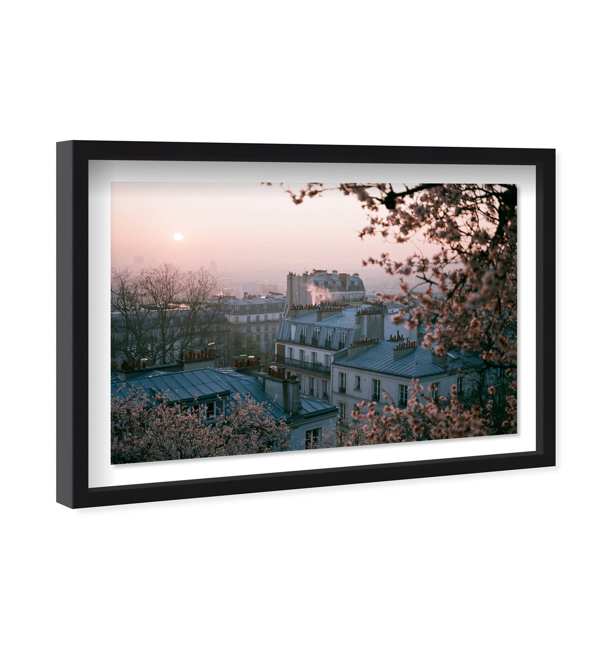 Blossom Framed Paris III