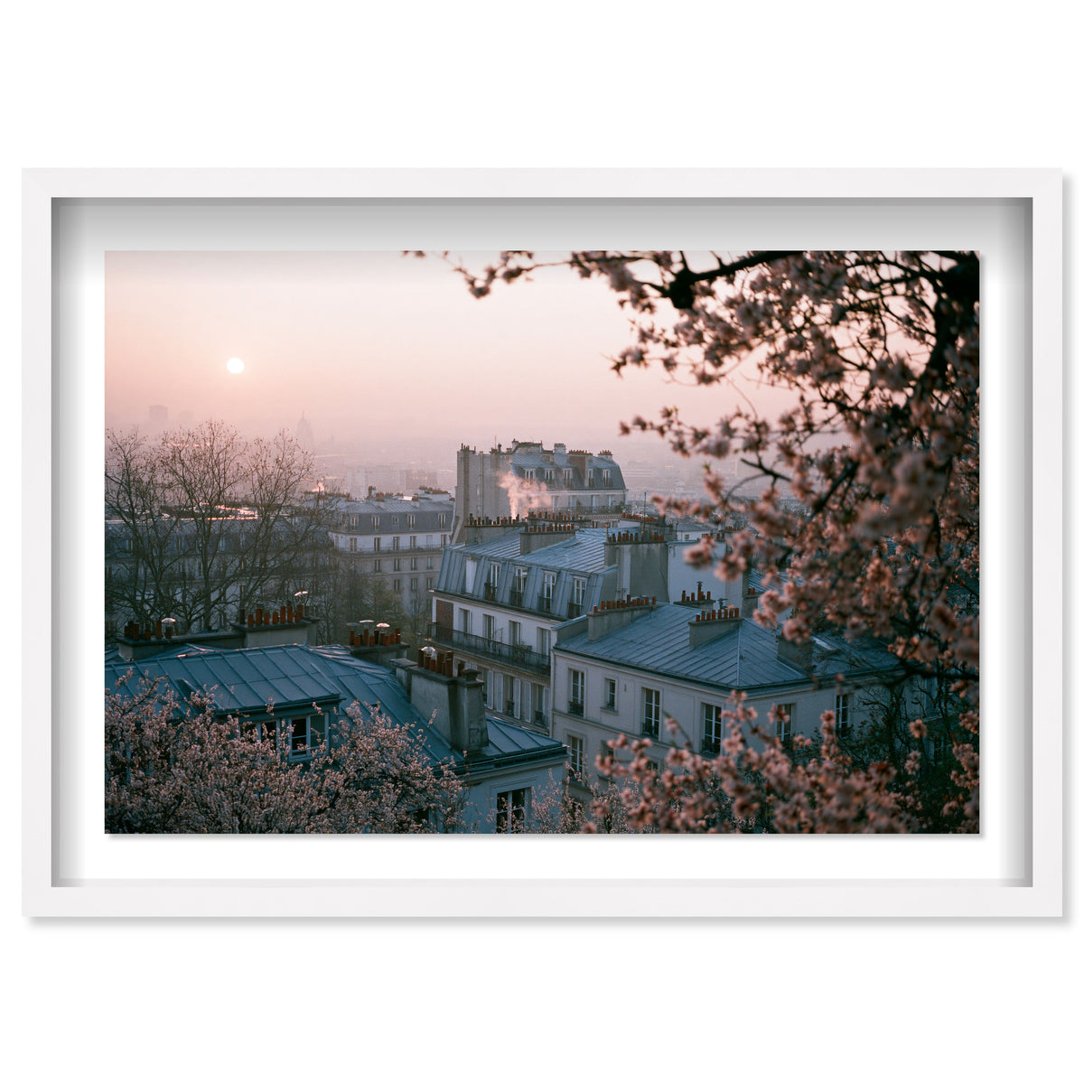Blossom Framed Paris III