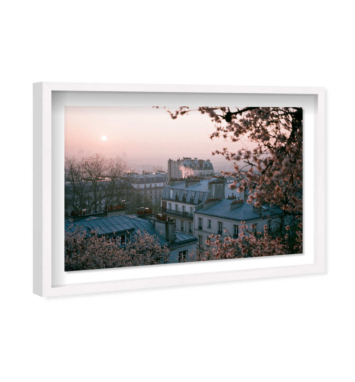 Blossom Framed Paris III