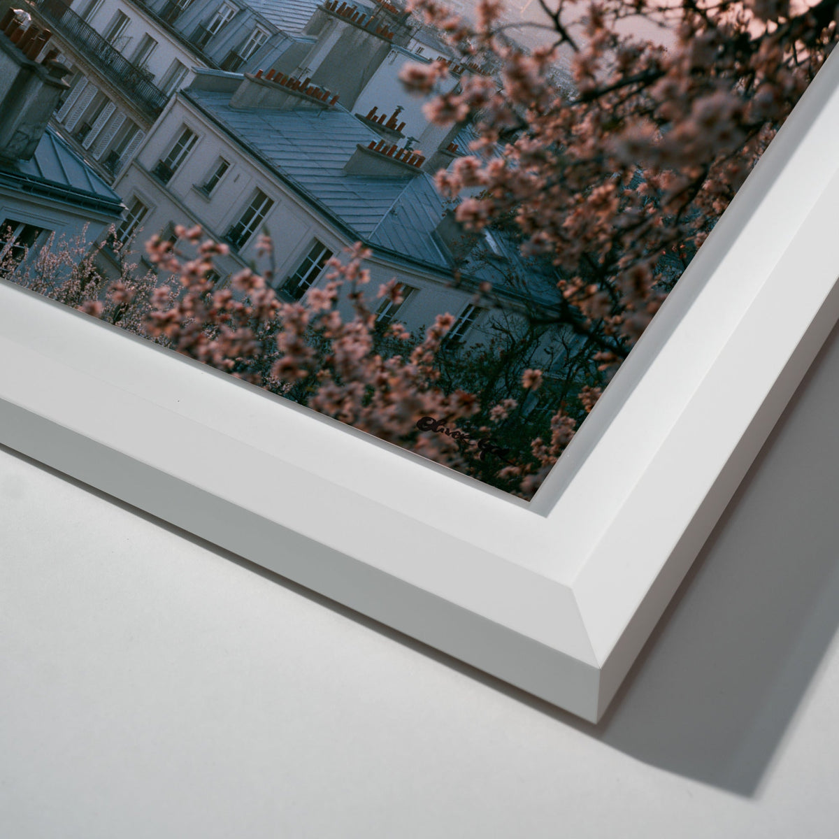 Blossom Framed Paris III