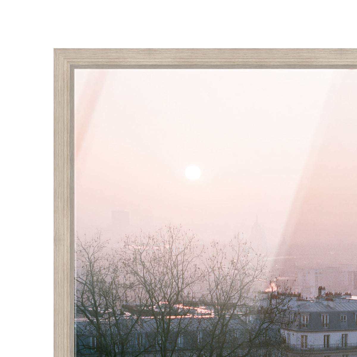 Blossom Framed Paris III