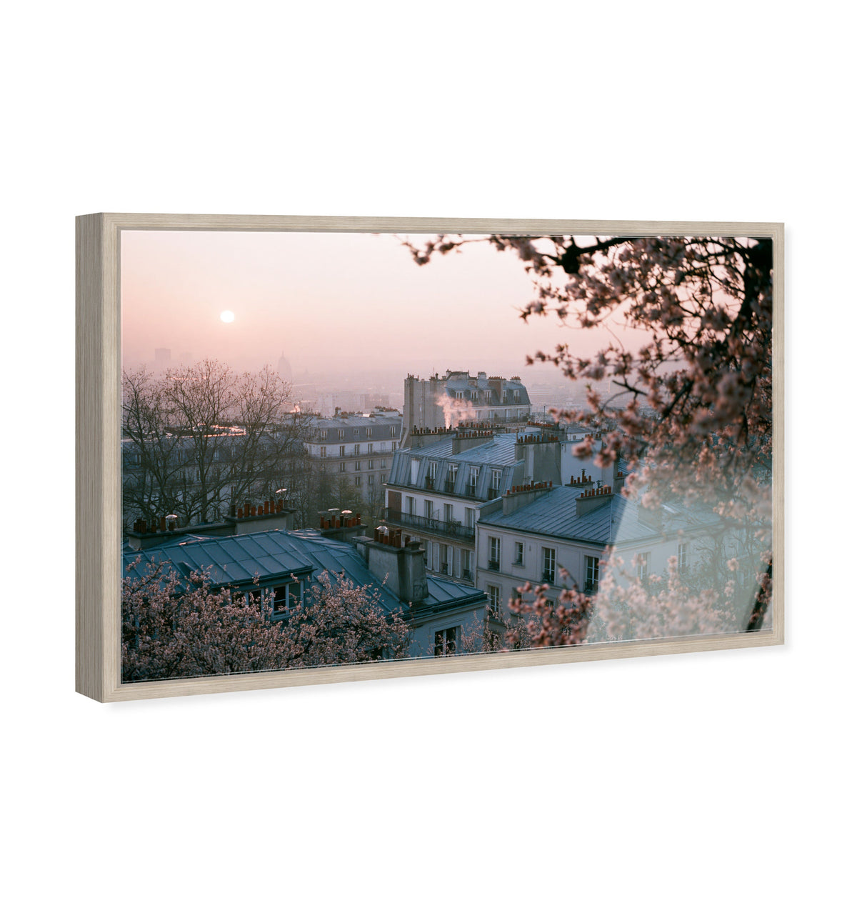 Blossom Framed Paris III