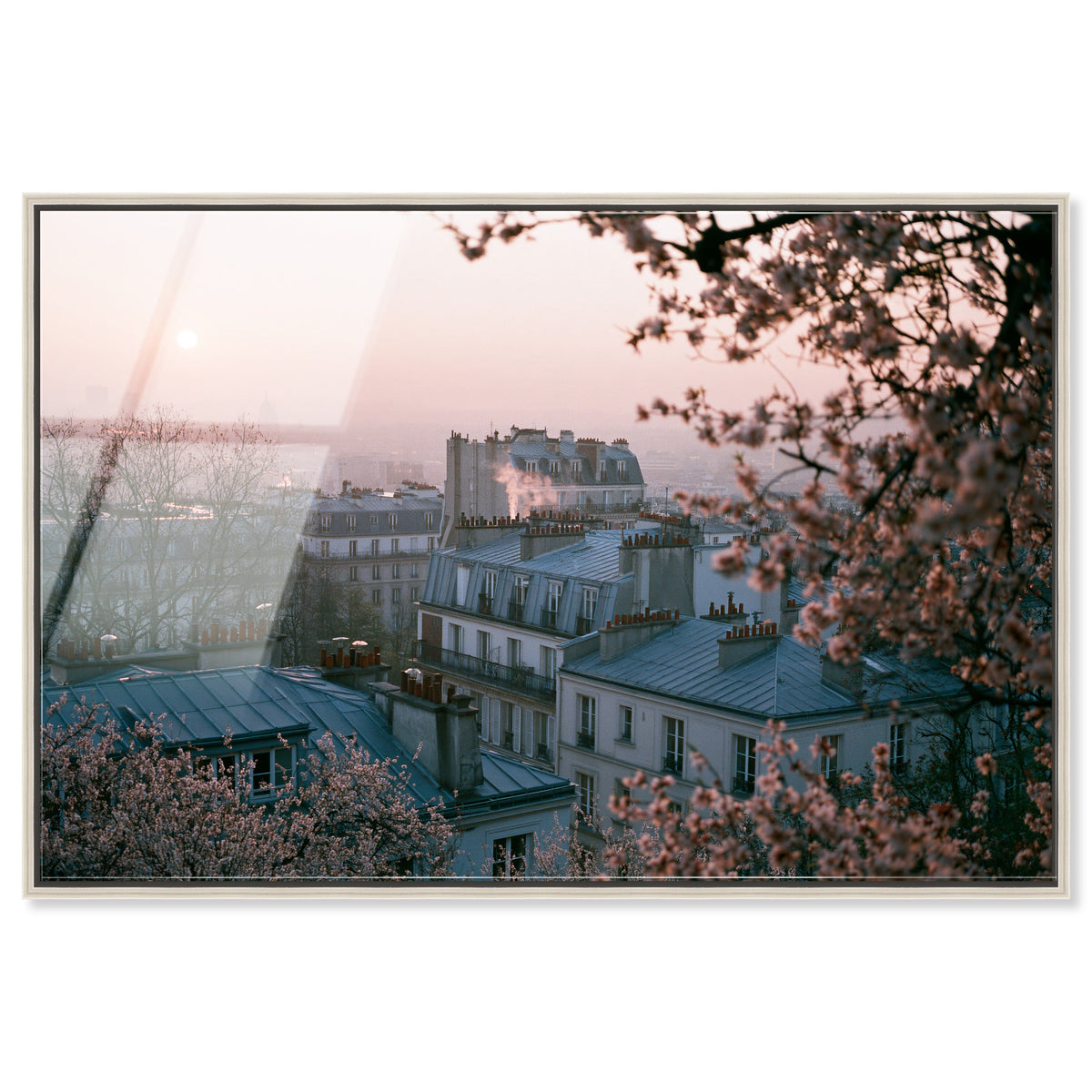 Blossom Framed Paris III