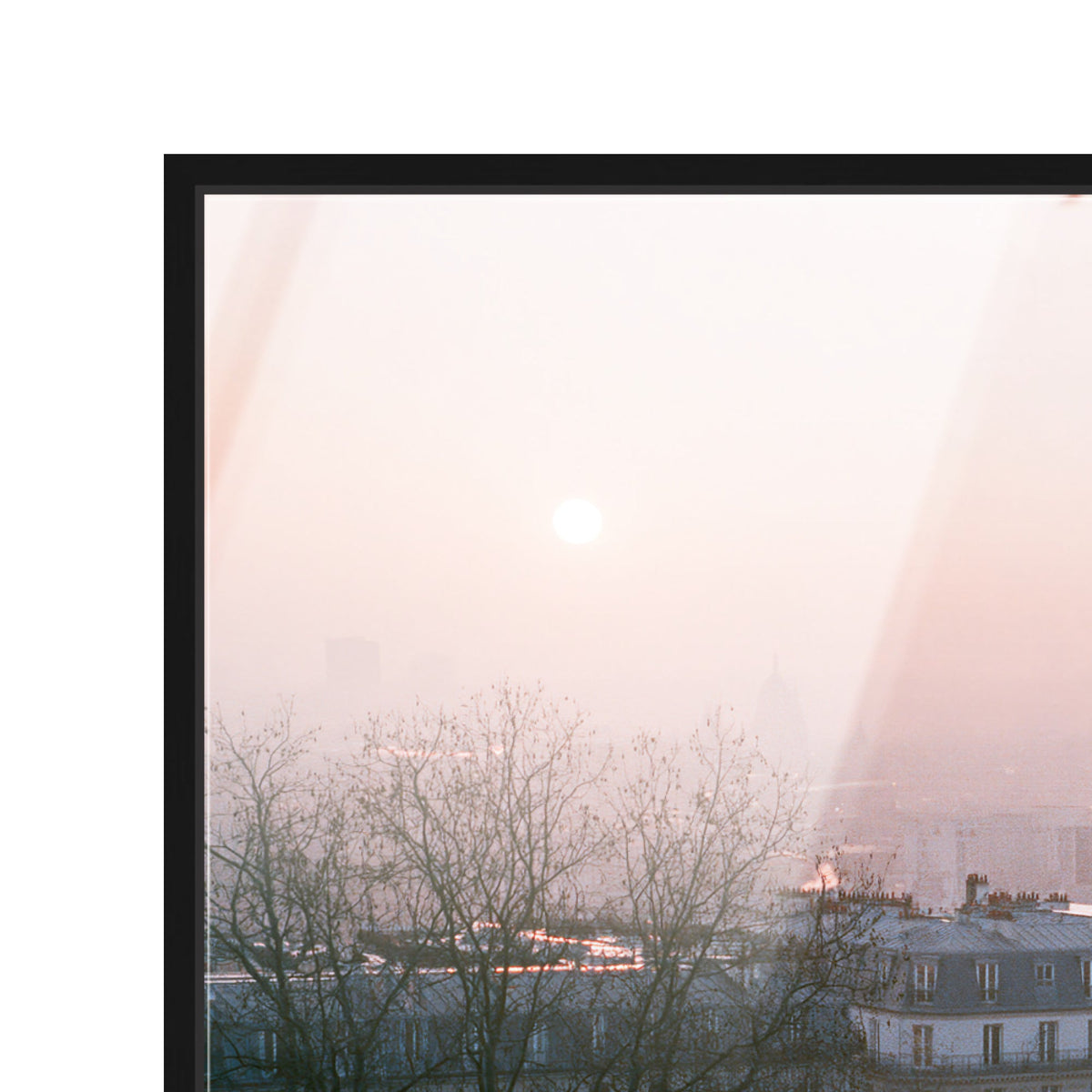 Blossom Framed Paris III
