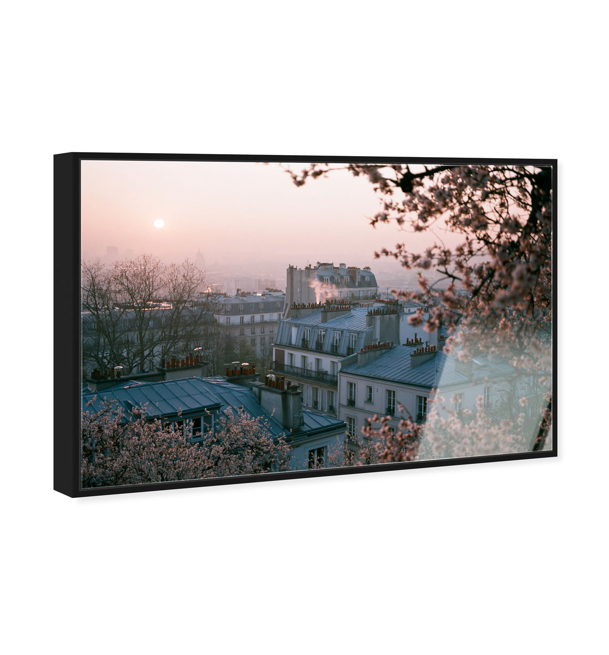Blossom Framed Paris III