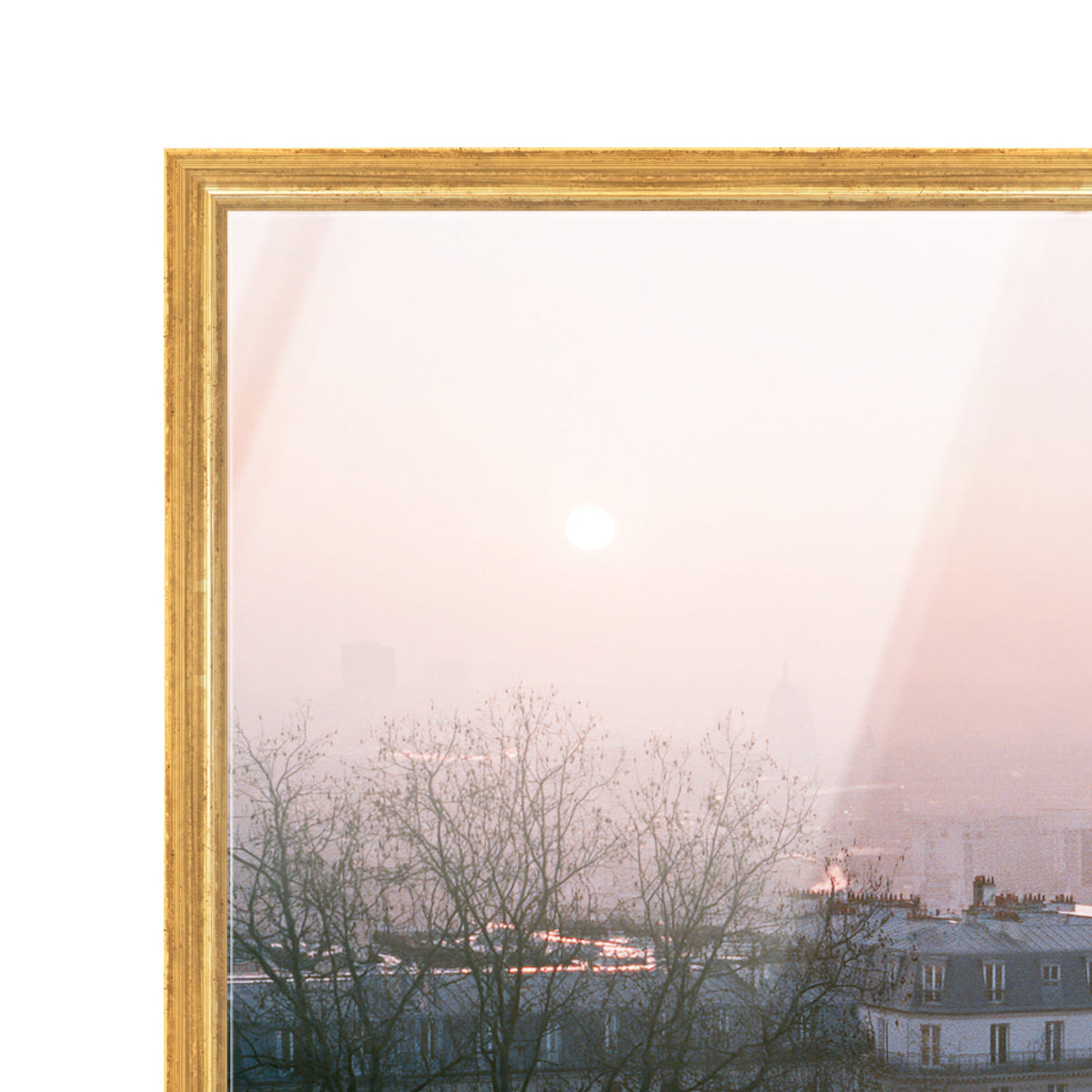 Blossom Framed Paris III