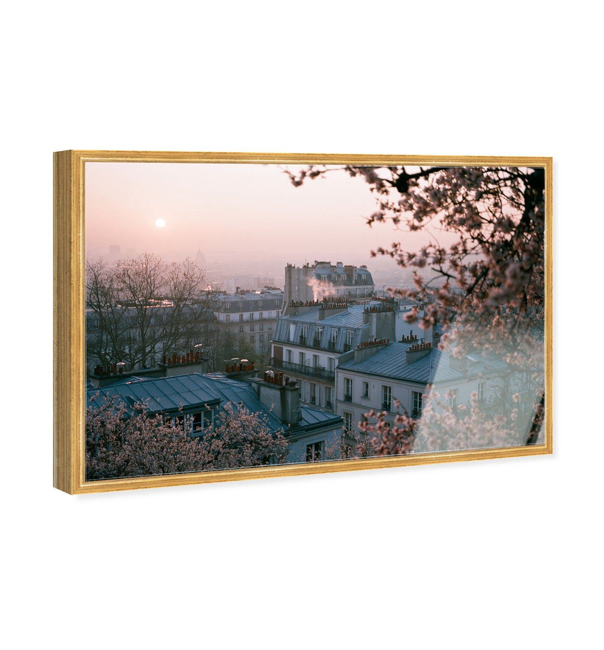 Blossom Framed Paris III