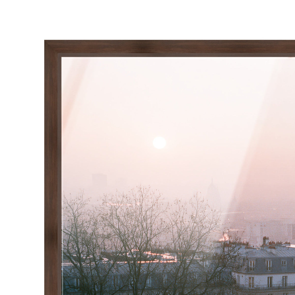 Blossom Framed Paris III