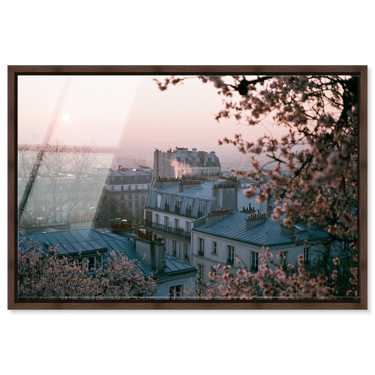 Blossom Framed Paris III