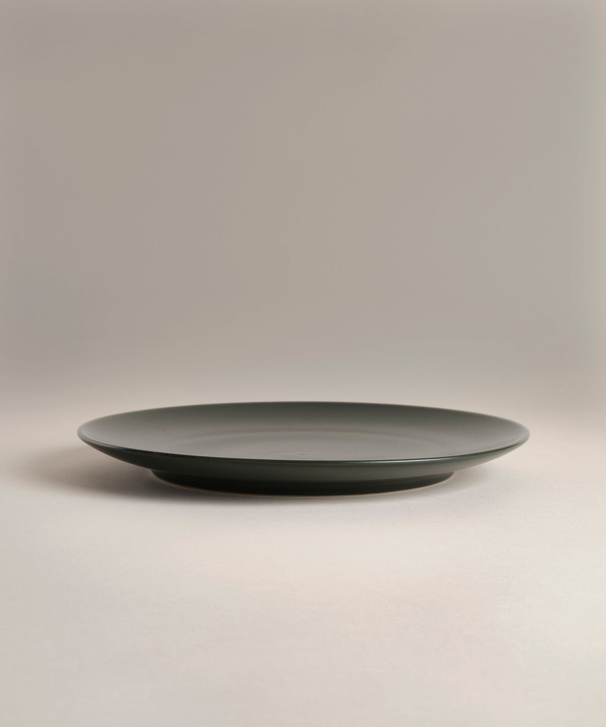Big Stoneware Plate Set