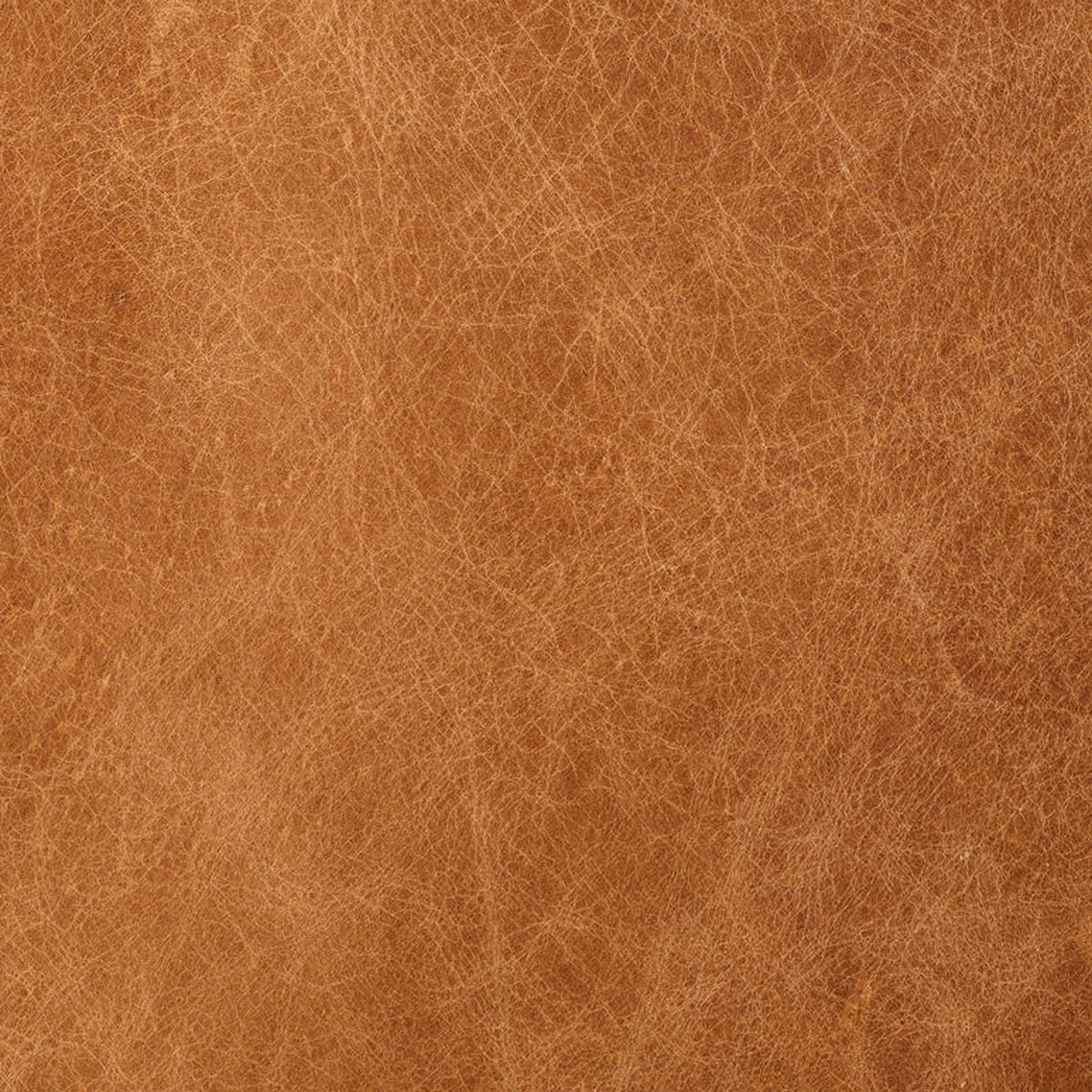 Aida Leather Lounge Chair, Cognac Tan, Set of 2