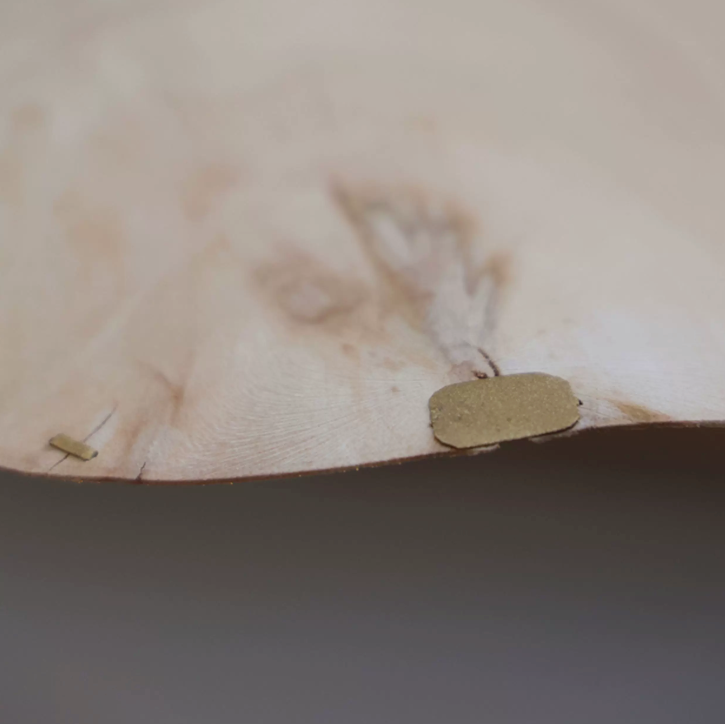 Yakusugi Wabi-sabi Wood Pendant Light