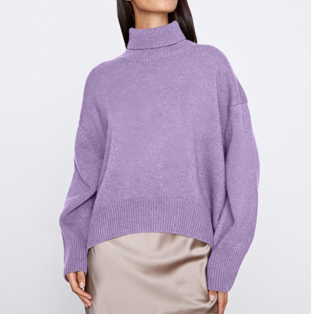 Pull à col roulé Wendy pour femme