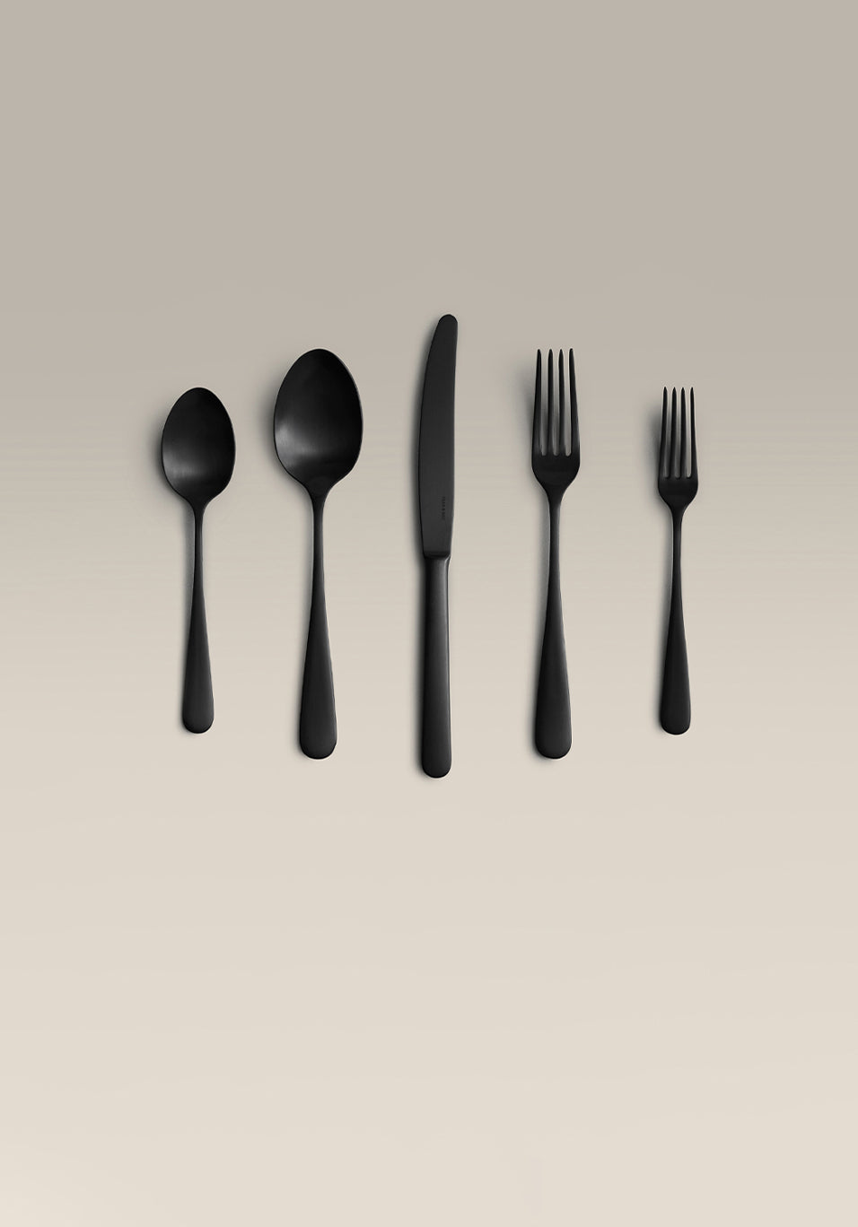 Classic 5 Piece Stainless Steel Place Setting, top down view