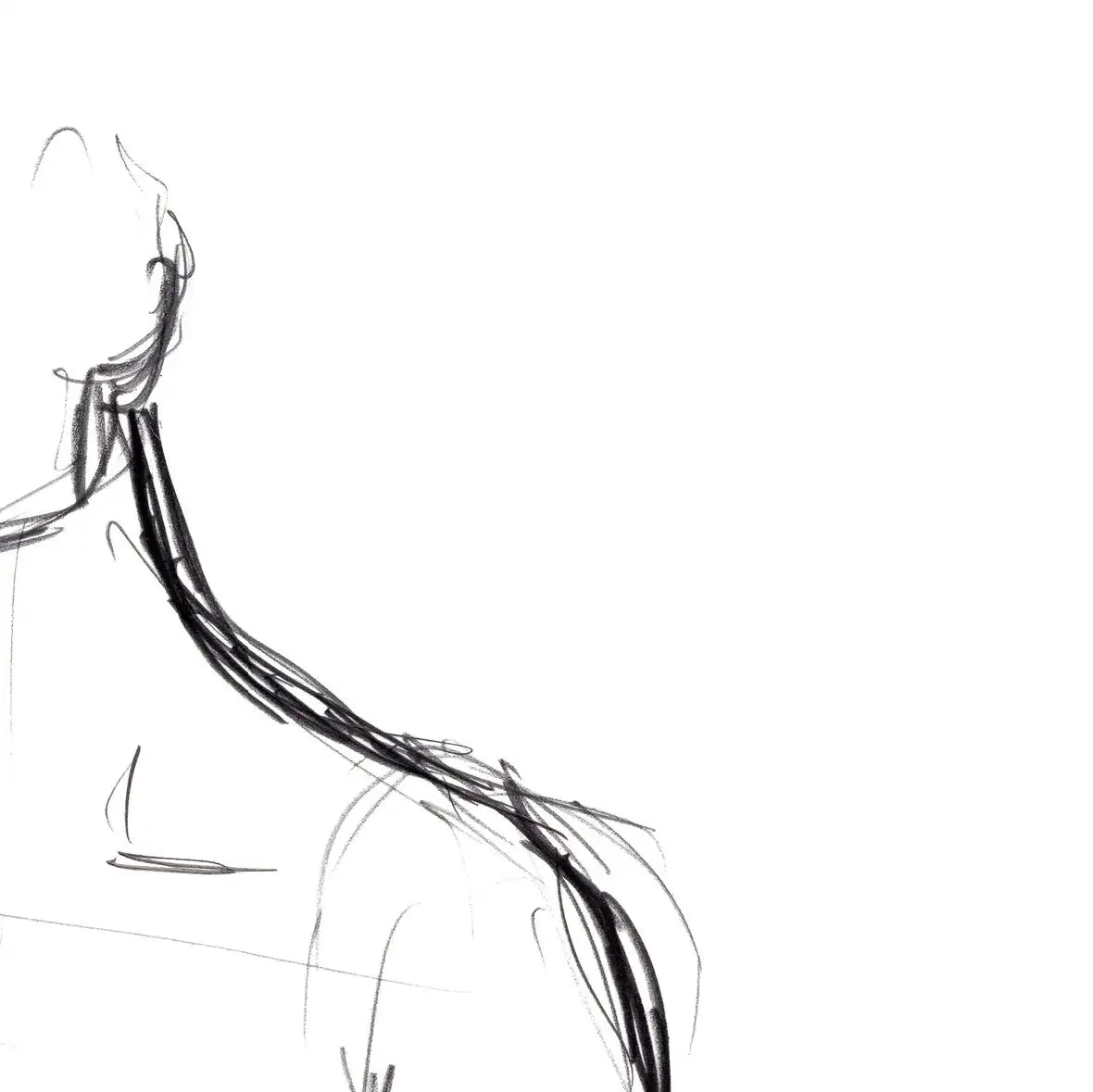 Female Torso Sketch Wall Art