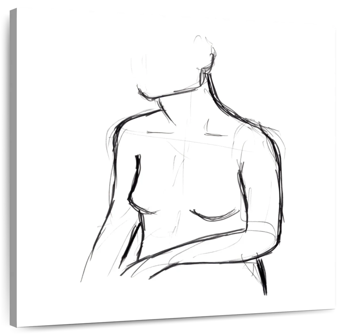 Female Torso Sketch Wall Art