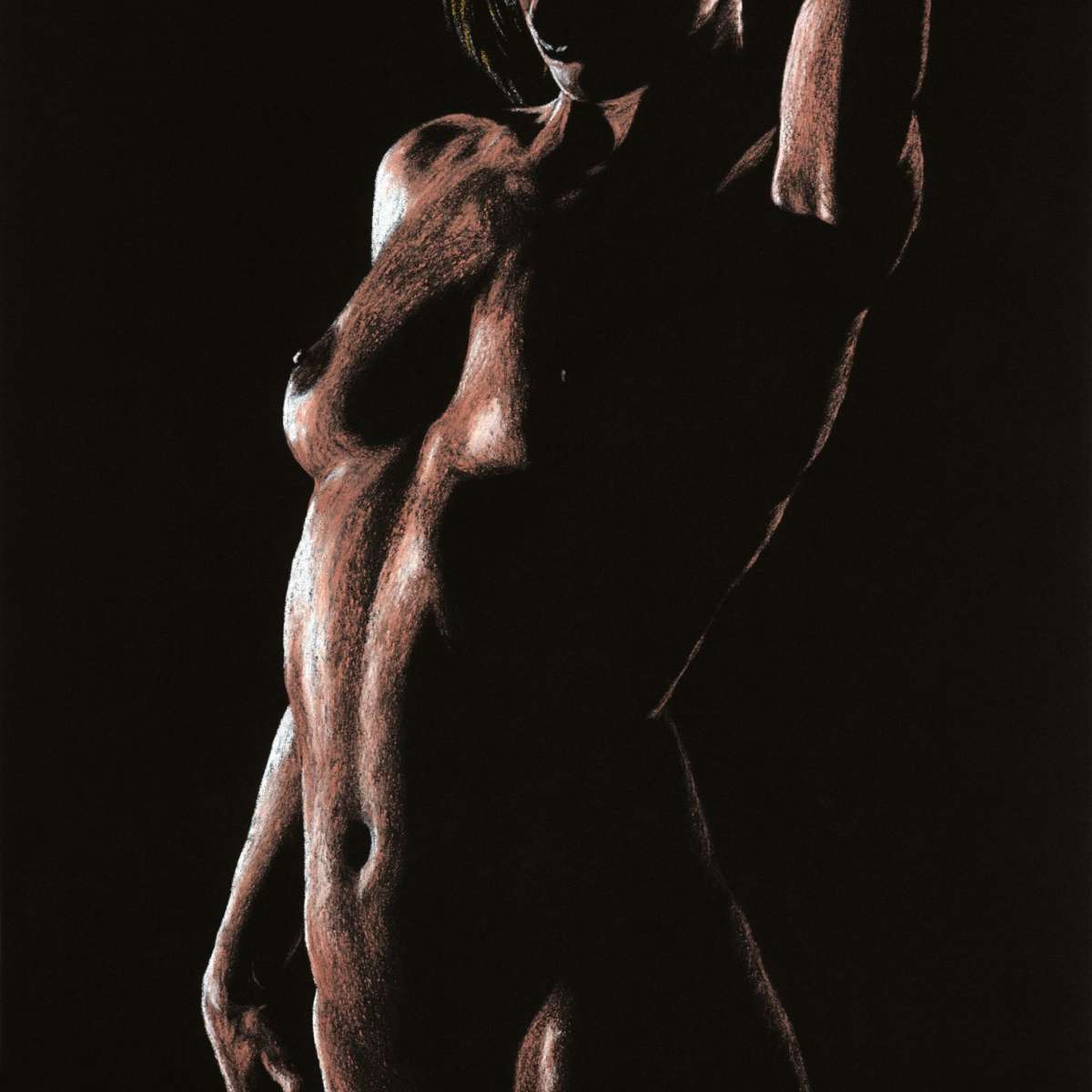 Contour in the Dark Wall Art